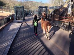 -大连森林动物园