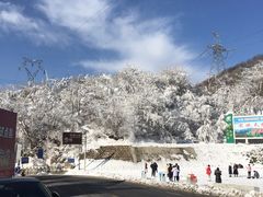 -秦岭风景区