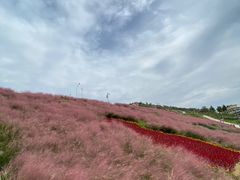 -沂蒙云瀑洞天景区