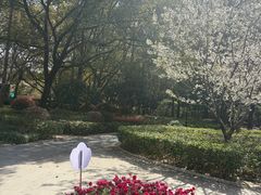 -徐家汇源景区-衡山公园