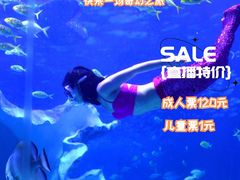 -江和美海洋公园