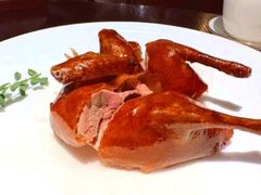 -甄御•海鲜新青岛菜(麦岛店)