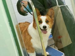 -圣宠动物医院·犬猫专科·影像中心·外科中心