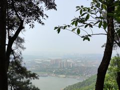 -铁山坪森林公园