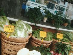 -老灶房-四川土菜(开元店)