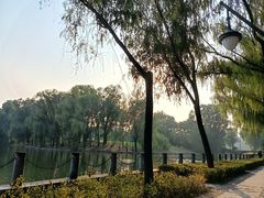 -森林公园(尖草坪区)