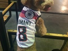 -Cactus墨西哥仙人掌餐厅