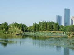 -艾溪湖湿地公园