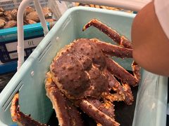 -东海怡品海鲜豆捞(舟宿夜江店)