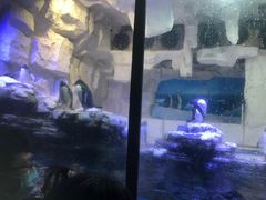 -华夏文旅西安度假区