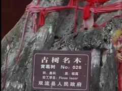 -黄龙溪古镇