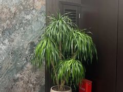 -铂尔登智慧酒店(南山西丽地铁站店)