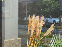 -打酱友•斑鱼海鲜粥火锅(吴桥店)