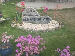 -硇洲岛旅游区