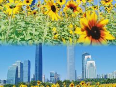 -海心沙亚运公园