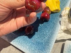 -渔舶汇蒸汽活海鲜·榴莲自助(领展中心城店)