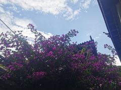 -丽江束河古镇-石莲古寺