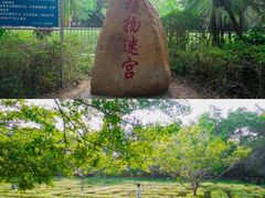 -广东茂名森林公园