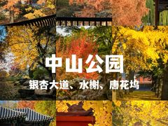 -颐和园