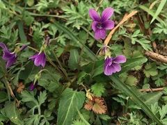 -那琴半岛地质海洋公园