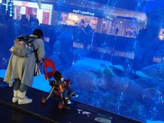 -成都浩海立方海洋公园