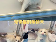 -万达广场(济南高新店)