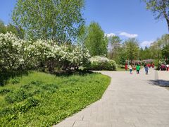 -群力丁香公园