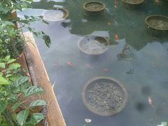 -金鸡山公园