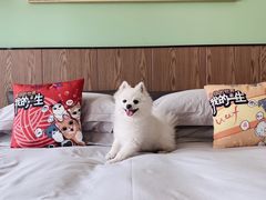 -太阳岛度假酒店