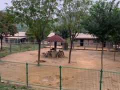 -石家庄市动物园