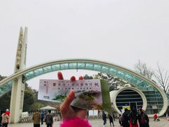 -南山植物园