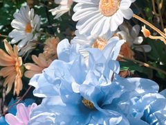 -常熟路(地铁站)