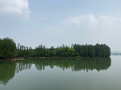-东湖落雁景区