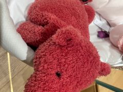 -乐蓬马歇百货公司(Rive Gauche)