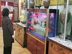 -伊帆食府·青海地方特色美食