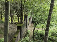 -莫干山风景区