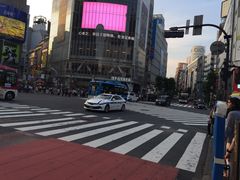-涩谷区