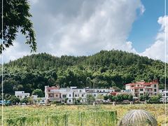 -红山村