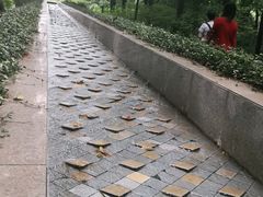 -苏州河梦清园环保主题公园