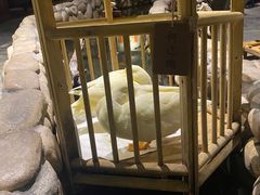 -馬蘭花開(车站大道店)