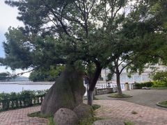 -蠡湖大桥公园