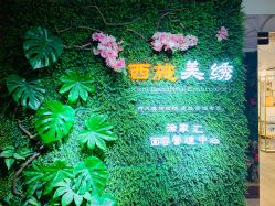 -西施无菌半永久纹绣眉眼影唇轻增发纹发际线
