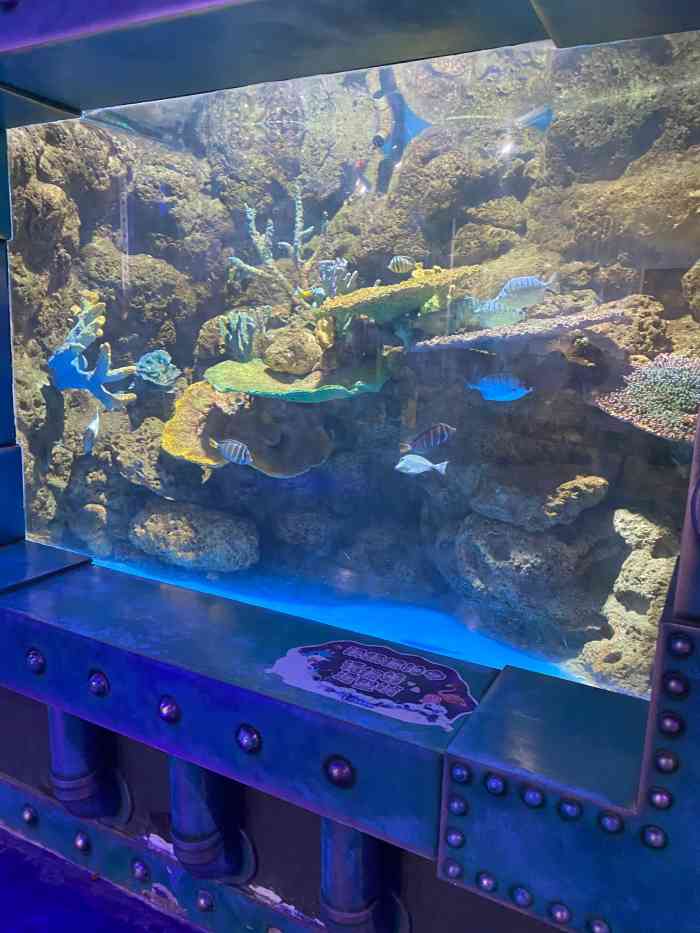 太奥幻太奇海洋馆-"定位:西安太奥广场幻太奇海洋馆周三的一.