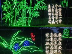 -陶辛水韵