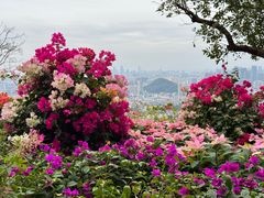 -广州市白云山风景名胜区