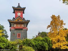 -四川大学(华西校区)