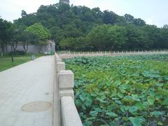 -顺峰山公园