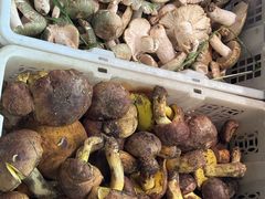-宣威山野人家·云南菜·菌火锅(金碧店)
