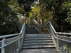 -佛山华盖山公园