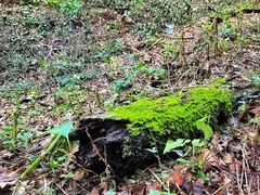 -玉渡山自然风景区